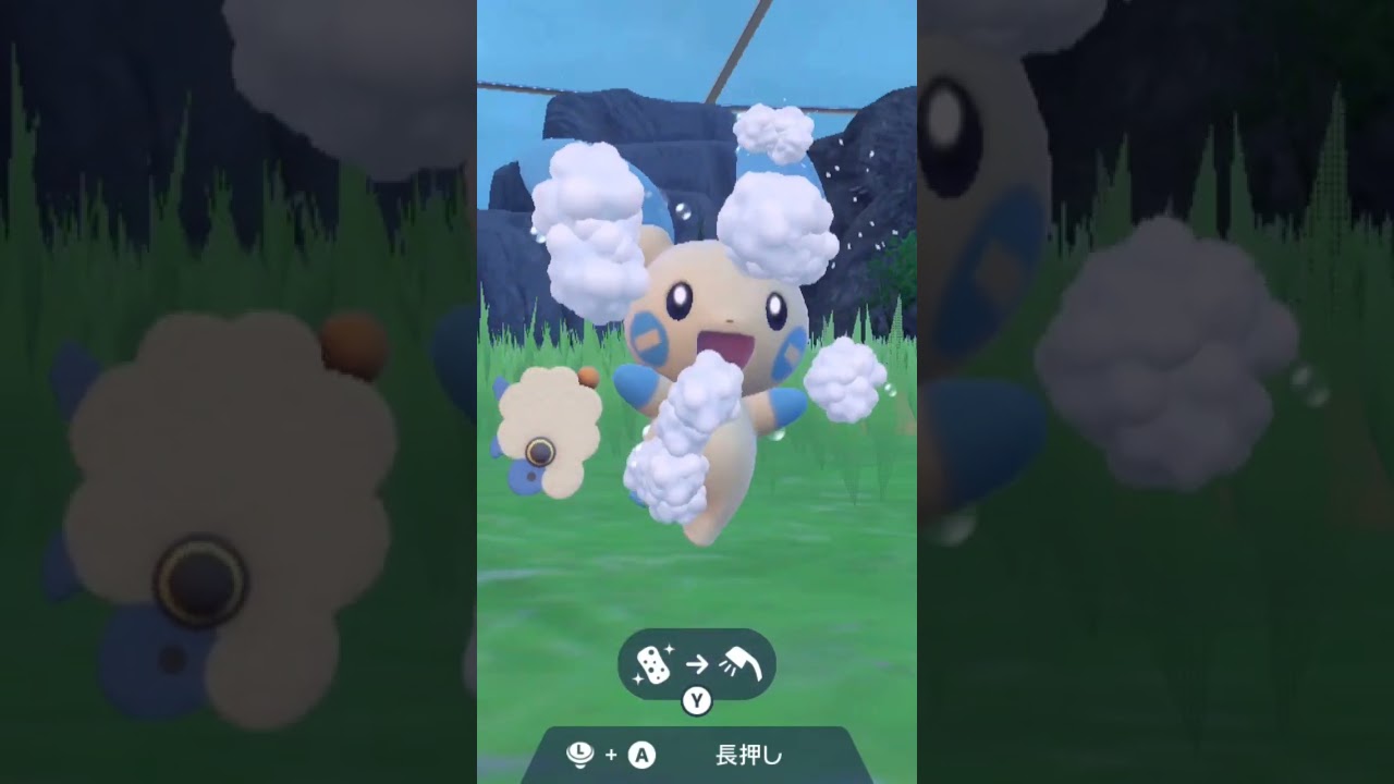 マイナン Minun【ポケモンsv】