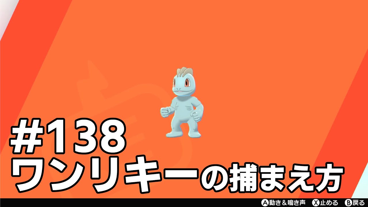 ワンリキーを探している方に見てほしい動画