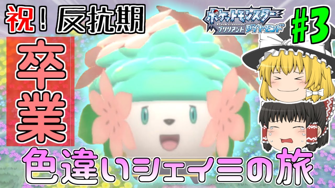 【反抗期卒業】色違いシェイミでダイパリメイク！#3【ポケモンBDSP】【ゆっくり実況】