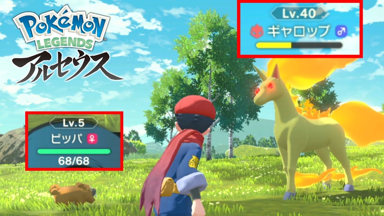 初見殺しの親分ギャロップをなんと…【ビッパの奇跡】