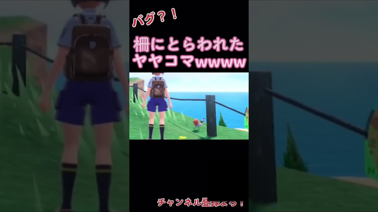 【ポケモンSV】バグでその場から動けないヤヤコマおったwwwwww #ポケモン #ポケモンsv #実況プレイ #もりりんまんろー