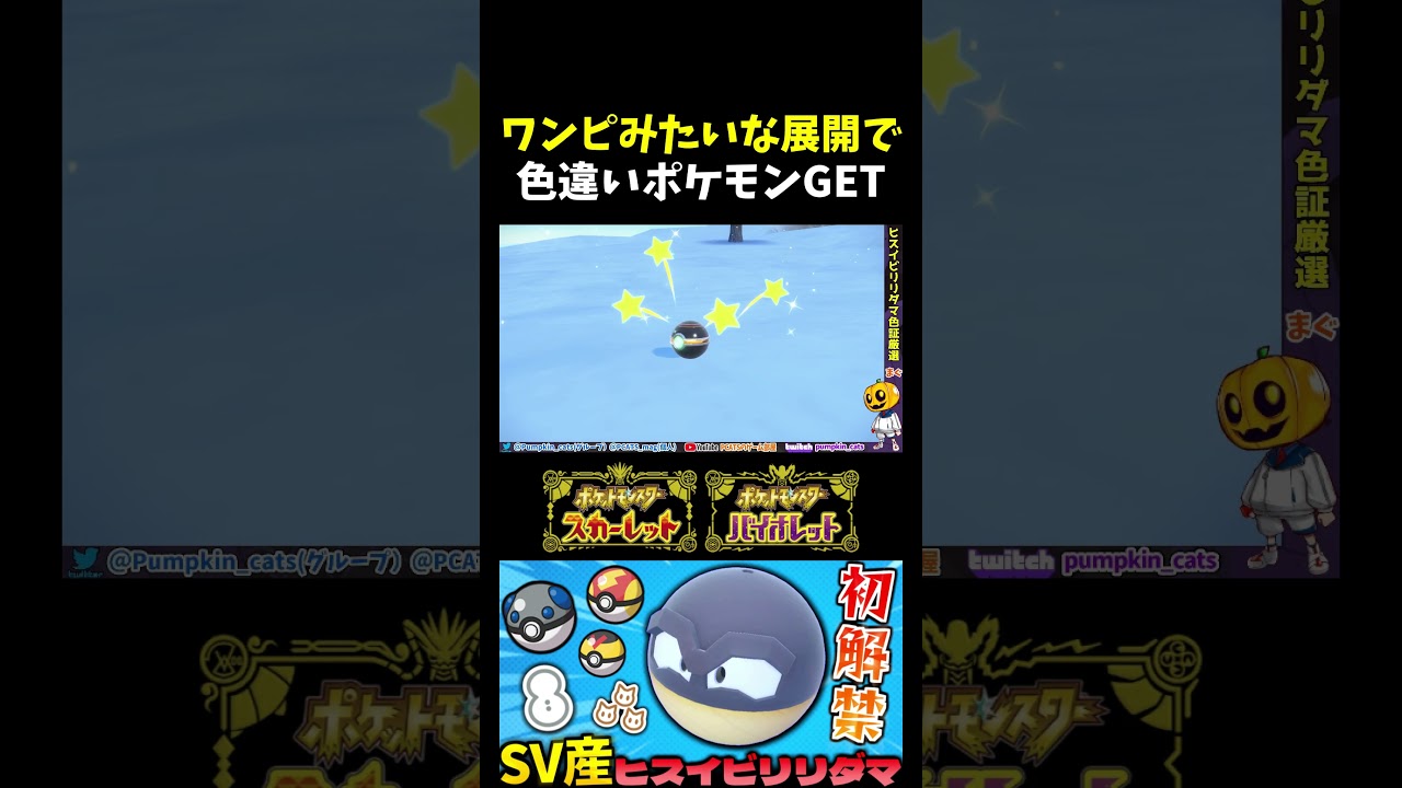 【ポケモンSV】ワンピースネタしながら色違いGET!? ｢ヒスイビリリダマ｣がSVで野生出現する大量発生イベントで念願の色証厳選!!【切り抜き】【色違いポケモン】【色違い厳選】#shorts