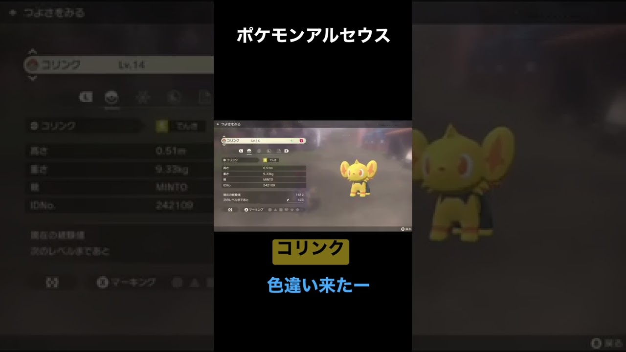【Pokémon アルセウス】コリンク色違い来たー！