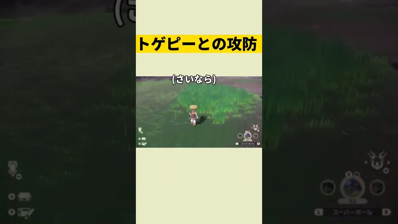 トゲピーとの攻防【Pokémon LEGENDS アルセウス】#shorts