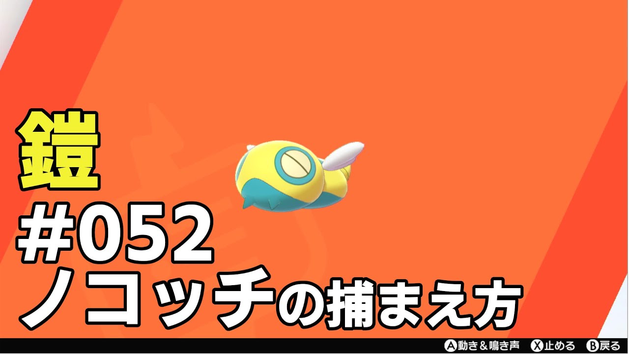 ノコッチを探している方に見てほしい動画