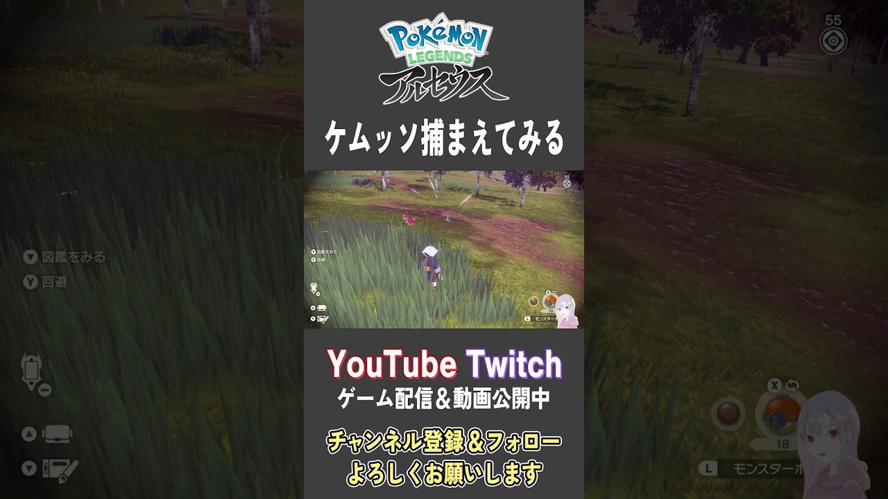 ケムッソ捕まえてみる【Pokemon LEGENDS アルセウス】【#Shorts】【#18】