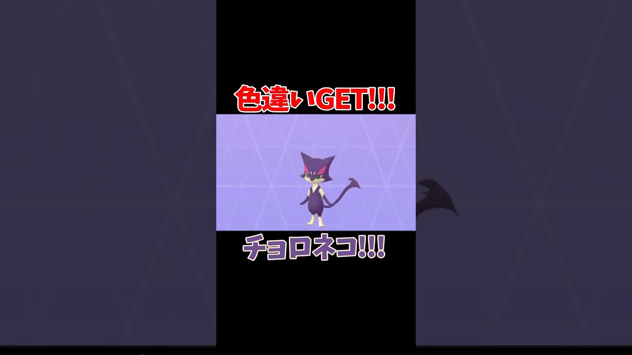 【ポケモンGO】色違いGET!!!#pokemon #ポケモン #pokemongo #ポケモンgo #shinypokemon #色違い #Purrloin #チョロネコ