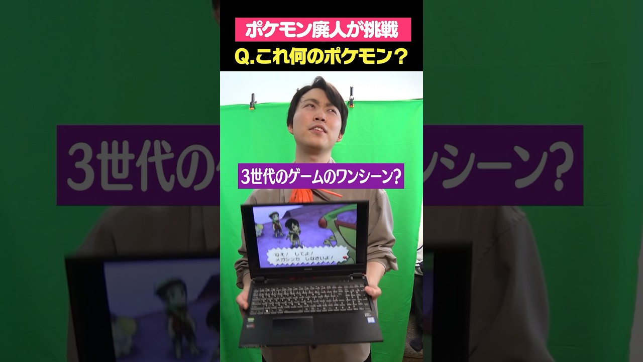 メガフライゴン…？