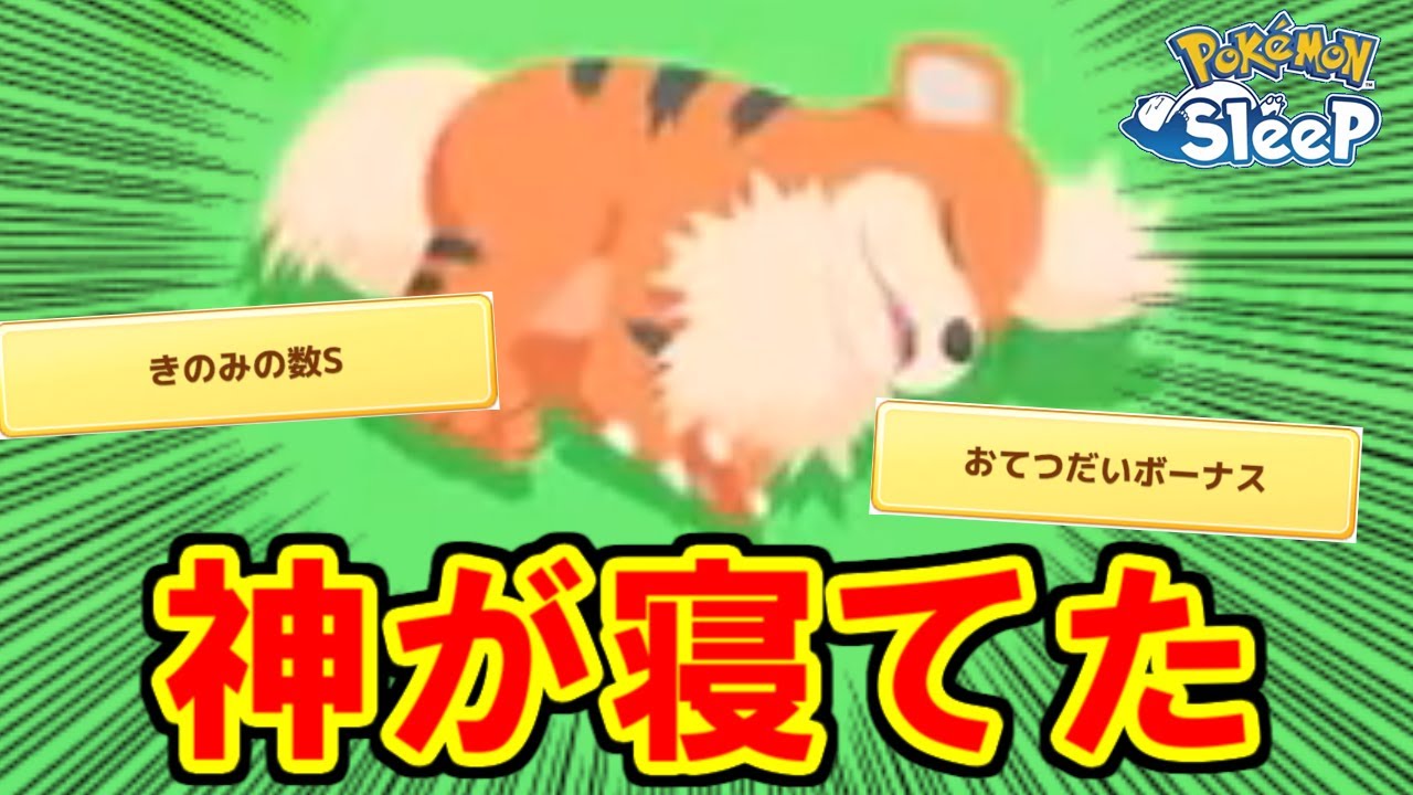 ライコウ探し中にエンテイの最強サブを発見する男。【ポケモンスリープ】