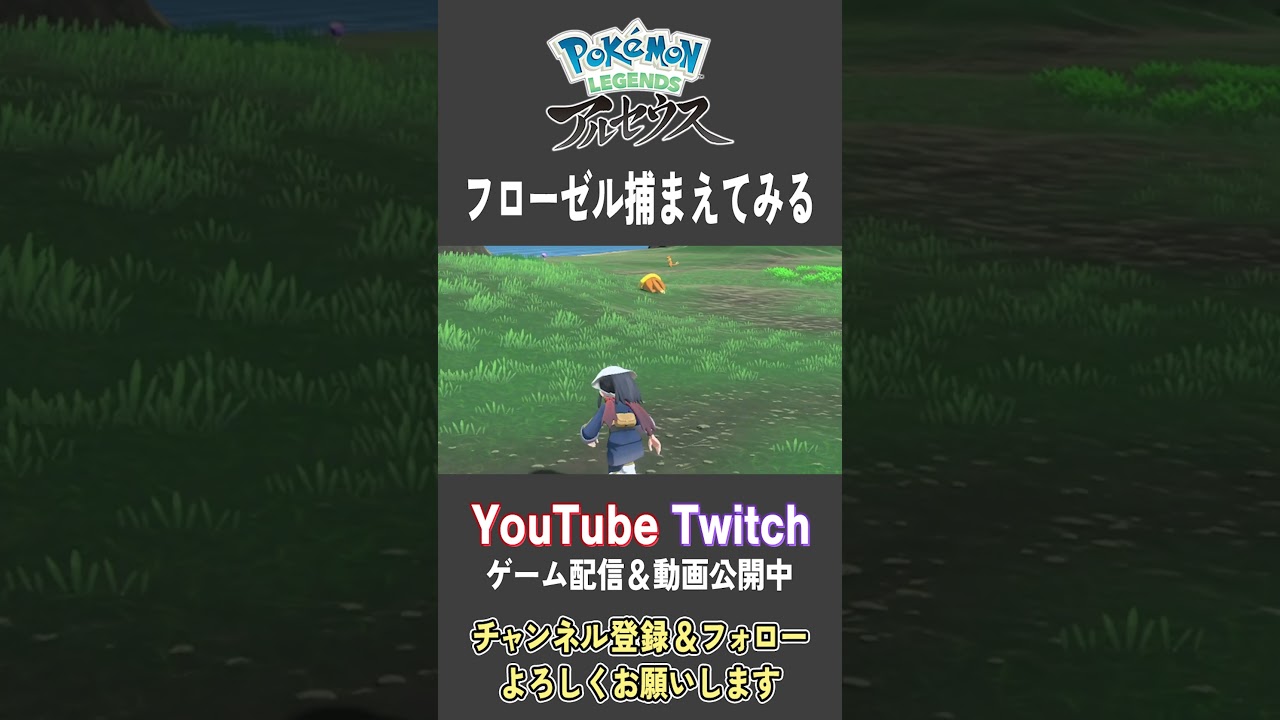 フローゼル捕まえてみる【Pokemon LEGENDS アルセウス】【#Shorts】【#102】