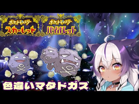 【ポケモンSV】色違いドガース → マタドガス【ポケットモンスタースカーレットバイオレット】