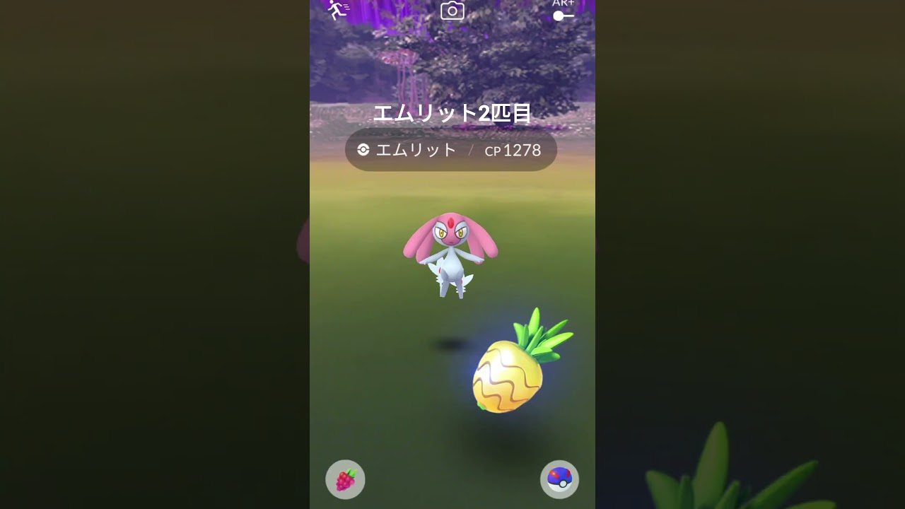 【ポケモンGO】ユクシー、エムリット、アグノム　連続ゲット記録にチャレンジ！！