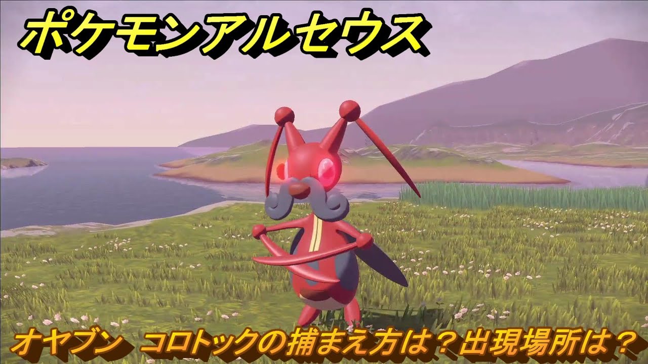 ポケモンアルセウス　オヤブン　コロトックの捕まえ方は？出現場所は？　＃３７５　【Pokémon LEGENDS アルセウス】