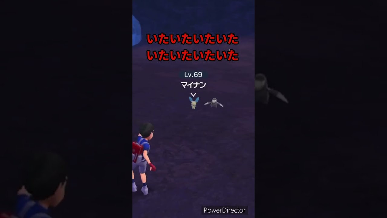 【ポケモンバイオレット】マイナン見つけた！　#ポケモンバイオレット #ゲームリハビリ #shorts