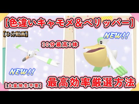 30分最高3体色違いキャモメ最高効率厳選方法 #ポケモンsv #ぺリッパー #大量発生不要 #色違い
