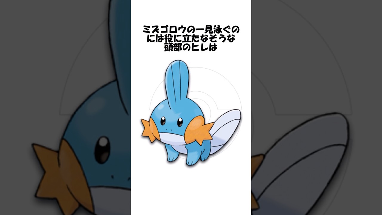 ミズゴロウの進化に関する雑学 #shorts #ポケモン #pokemon
