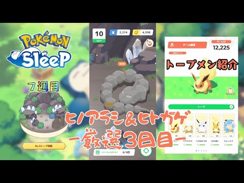 【ポケモンスリープ】こっこおばちゃんの睡眠リサーチ記録 266日目