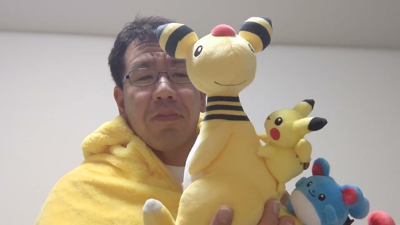 ポケモンセンタートウキョーベイのプレオープンでデンリュウとピカチュウとマリルの限定ぬいぐるみを買ってきて大興奮！