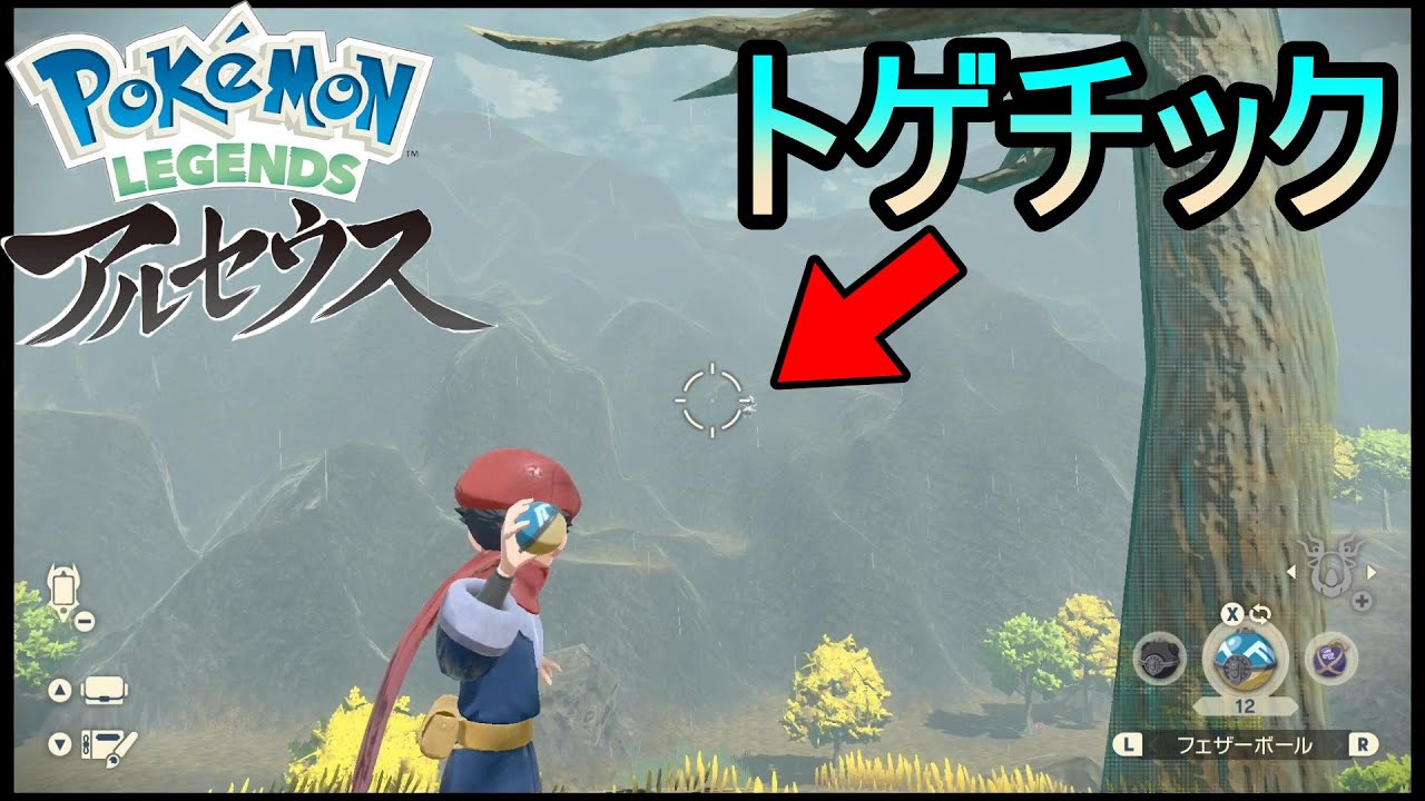 【ポケモン アルセウス】トゲチックゲット！ 遠い！【Pokémon LEGENDS アルセウス】