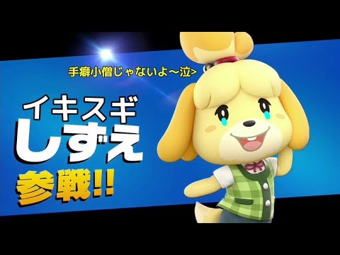 テスト配信