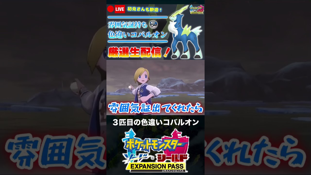 ３匹目の色違いコバルオンに遭遇した男【ポケモン剣盾】 #shorts