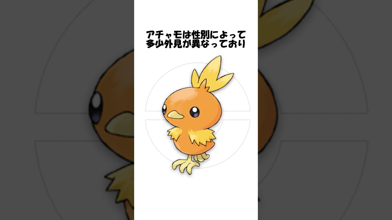 【ポケモン】アチャモの進化に関する雑学 #shorts #ポケモン #ポケモンsv