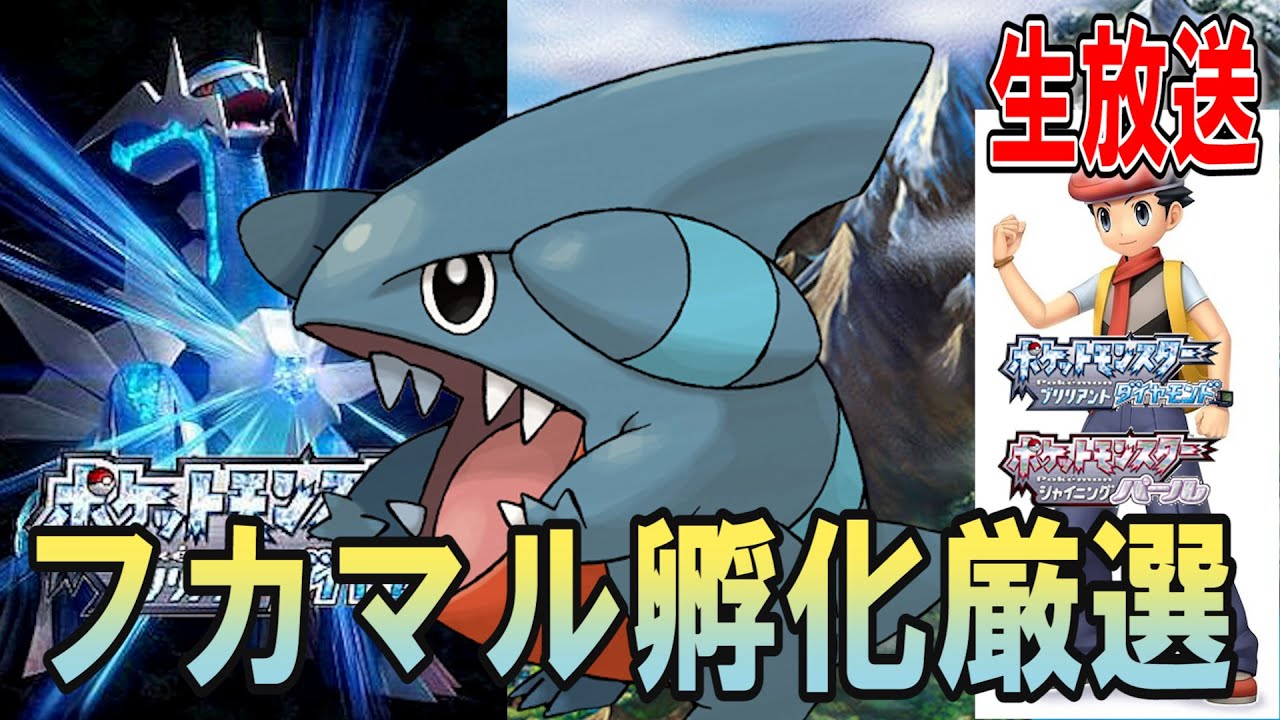 6Vを目指す！フカマル孵化厳選　【ポケモン　ダイパリメイクBDSP】