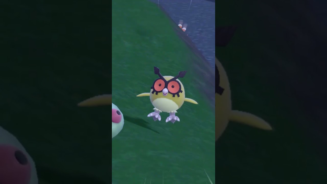 ホーホー見つけた！ #ポケモン #色違い #pokemon