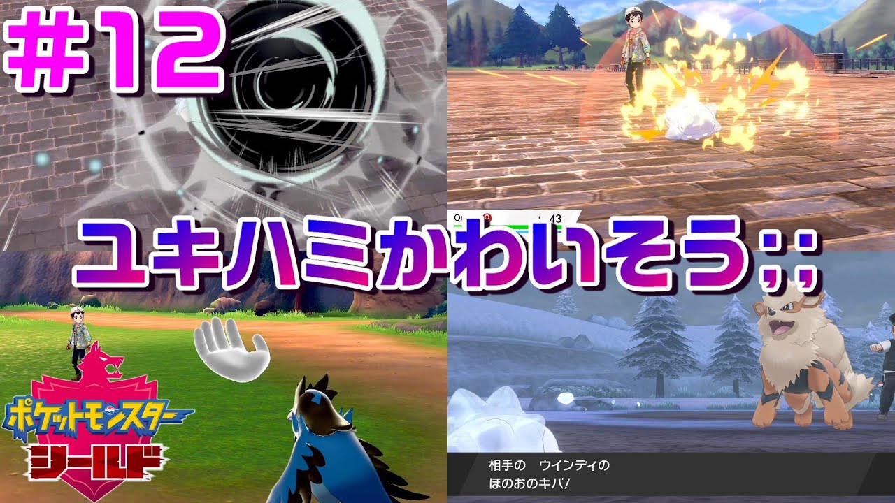 ユキハミ1匹でガラル地方を制覇する #12【ポケモン剣盾】