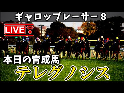 【テレグノシス】ギャロップレーサ－８