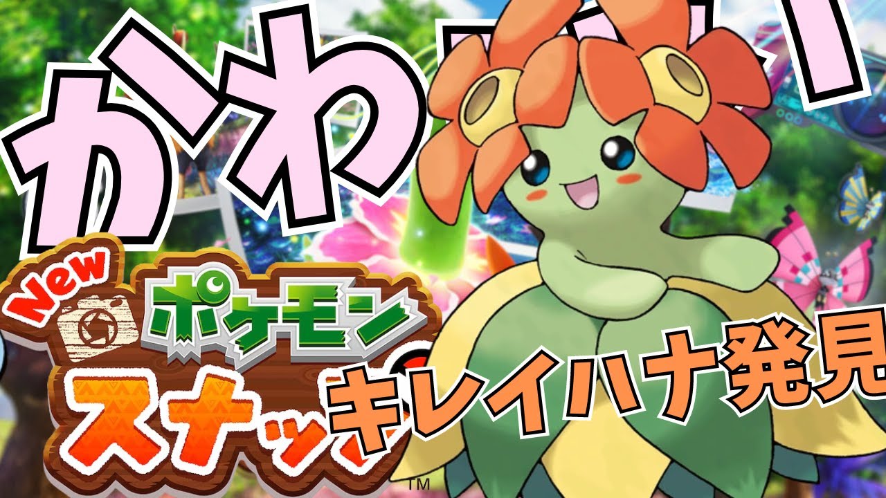 【ポケスナ】南国のポケモン発見！？Part１１【New ポケモンスナップ】