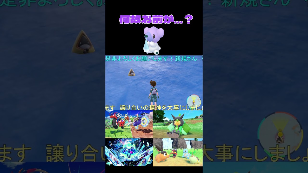 【ポケモンSV】色ユキワラシ厳選してたら色クマシュン出てきた…(;'∀')【＃ポケモンSV配信】＃Shorts