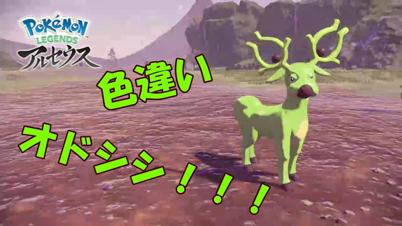 【LEGENDSアルセウス】色違いオドシシ進化・たわむれ集【大量発生】