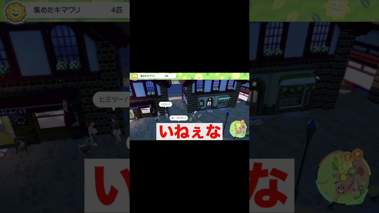 #shorts キマワリの熱狂的ファンにはたまらない動画