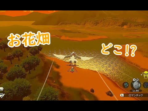 【実況】思考がお花畑な【ポケモンLegendsアルセウス】