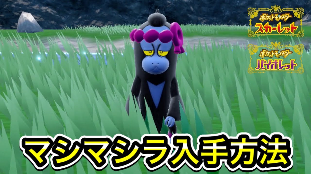 【ポケモンSV】マシマシラの入手方法！出現場所を教えます