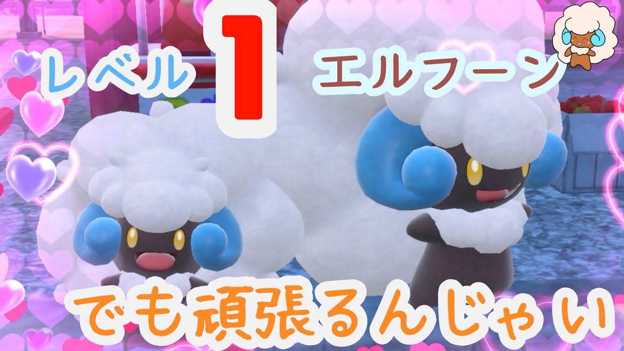 【ポケモンSV】 レベル1エルフーンでも頑張るんじゃい