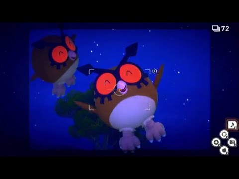 星4ホーホー　5517点