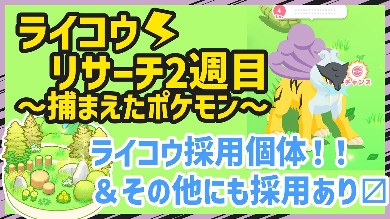 【ポケモンスリープ】ライコウリサーチ2週目とライコウ採用個体！！＆その他にも採用あり〼【#PokémonSleep】