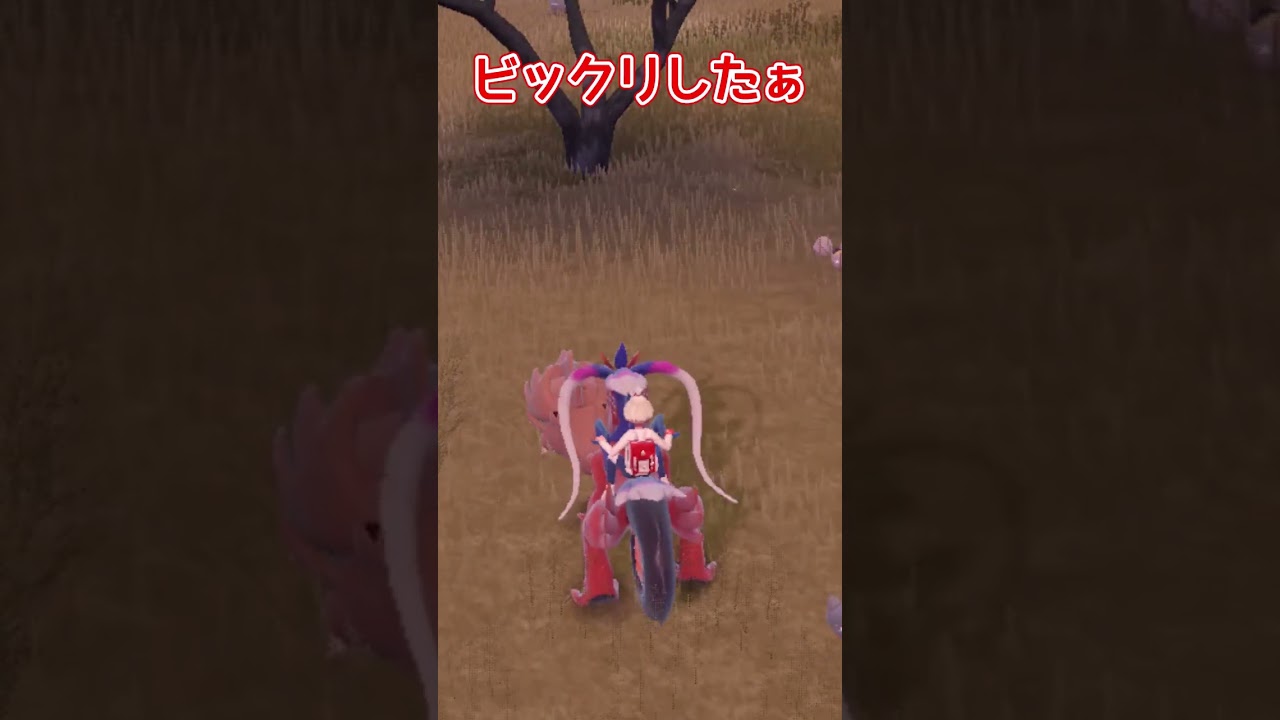 サイホーン見つけた！ #ポケモン #ポケモンsv #pokemon #色違い