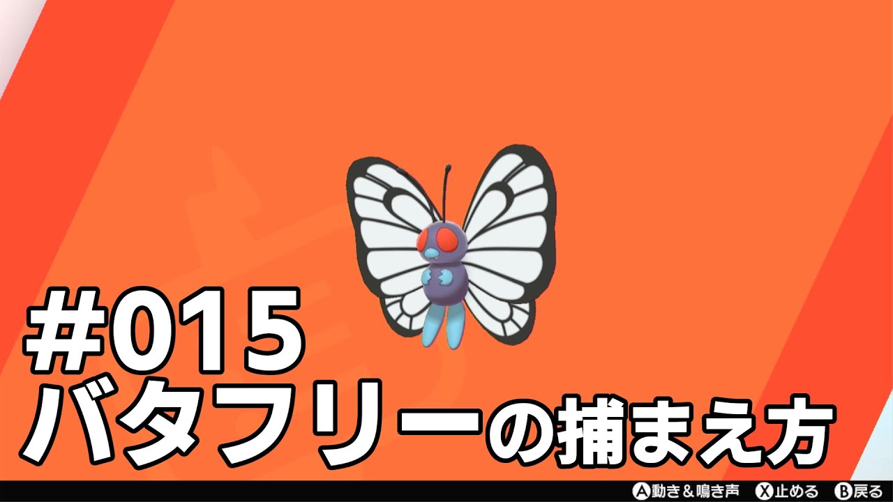 バタフリーを探している方に見てほしい動画