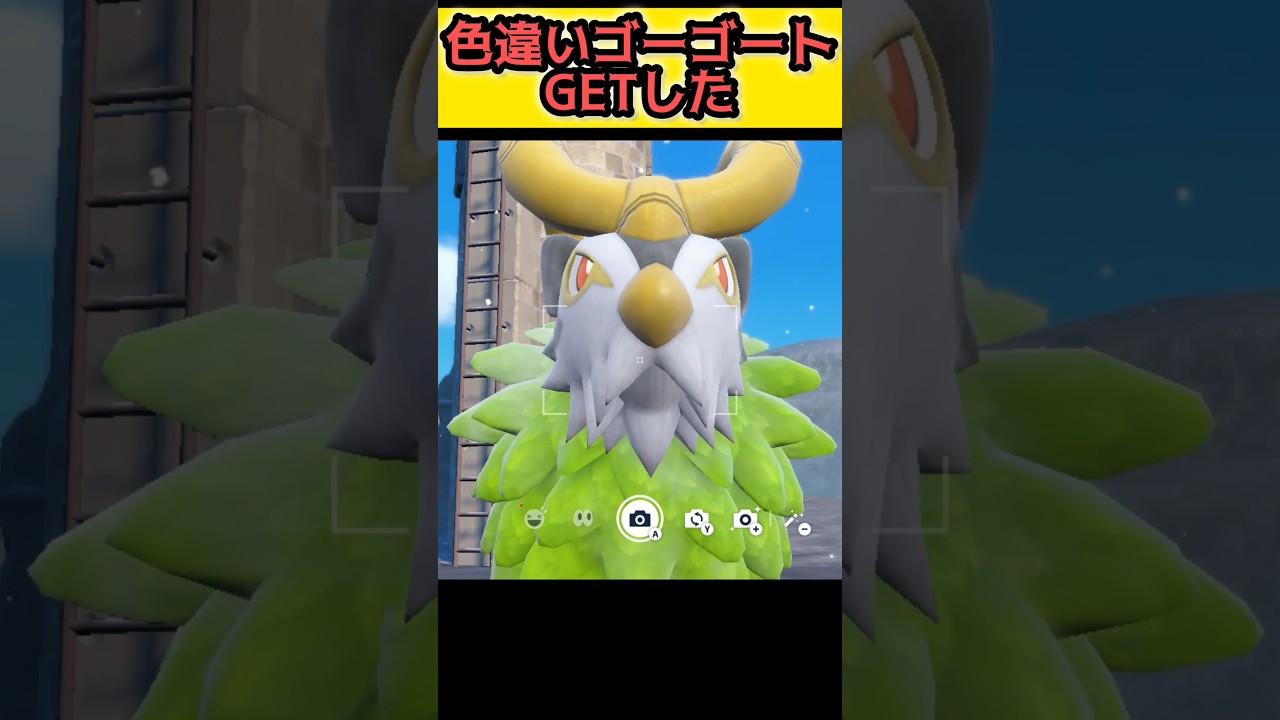 色違いゴーゴート出現Different color Gogoat 【ポケモンSV ポケモンスカーレット/バイオレット】 #shorts #pokemonscarlet  #pokemonviolet