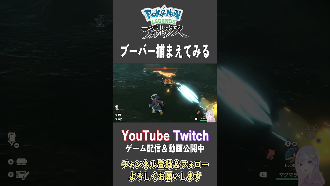 ブーバー捕まえてみる【Pokemon LEGENDS アルセウス】【#Shorts】【#118】