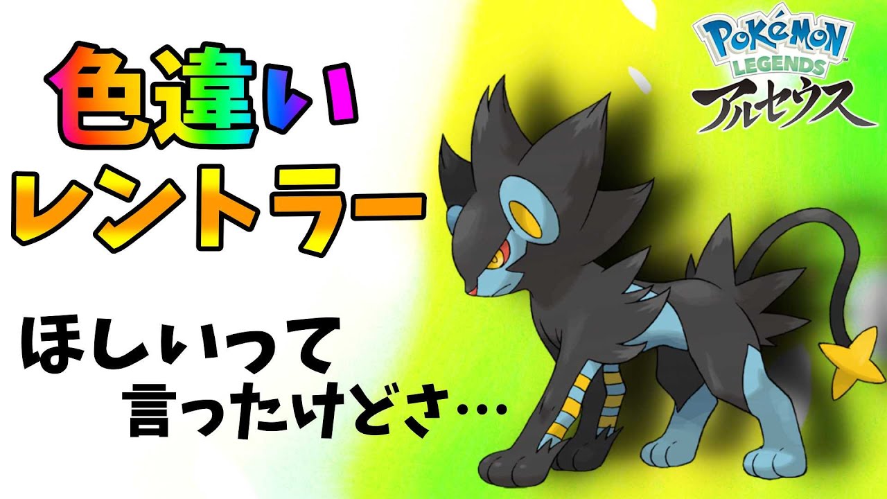 【ポケモンレジェンズアルセウス】オヤブン個体の色違いレントラー厳選してたら違うの来たw