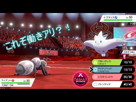 これぞ働きアリ？！職人アイアント教えます【ポケモン剣盾】