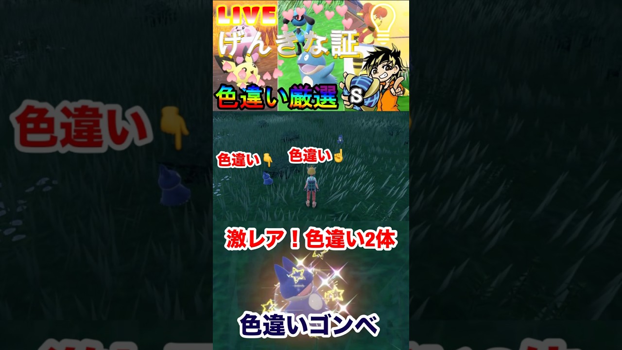 【ポケモンsv】げんきの証色違い厳選！色違いゴンベ厳選してたら2体でたぁぁぁー　#ポケモン　#ポケモンsv #色違い厳選　#色違いゴンベ　#カビゴン　#shorts #パチストラッシュ