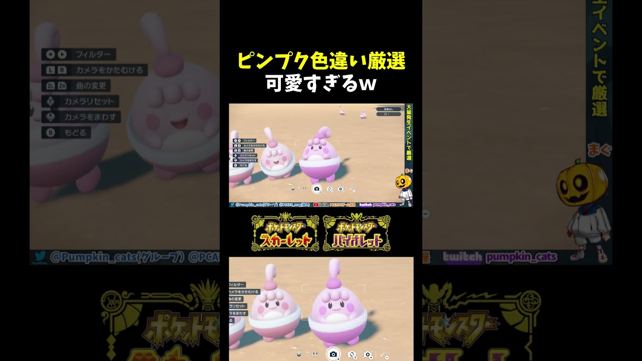 【ポケモンSV】可愛すぎるだろｗ イベントで砂漠に出現してるピンプクの色証厳選とサファリゾーンの思い出ｗ【切り抜き】【色違いポケモン】【色違い厳選】#shorts