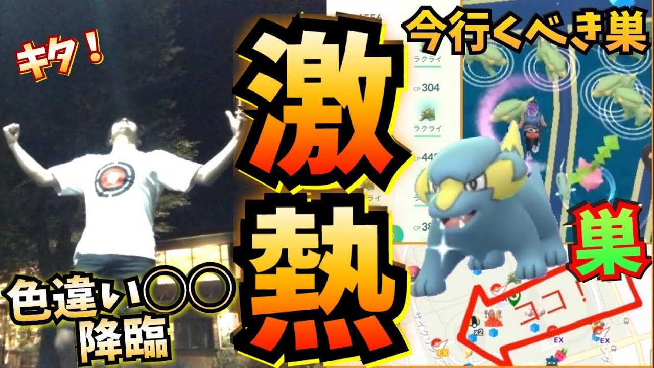 【ポケモンGO】色違い◯◯降臨☆激熱の駒沢公園！ラクライの巣に急げ！