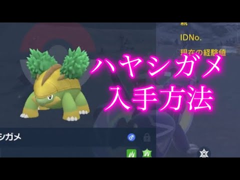 【ポケモンSV】【藍の円盤】ハヤシガメ入手方法