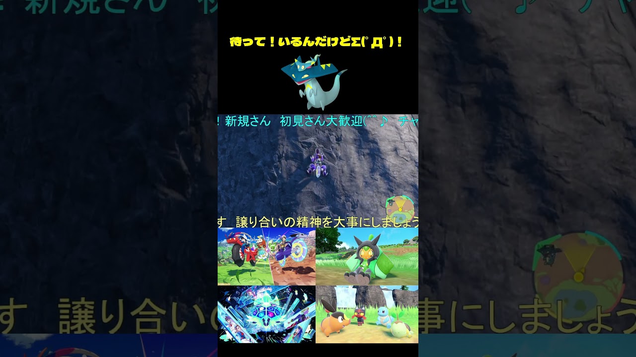 【ポケモンSV】リスナーと雑談相談してたら色ドロンチ出てきた(*''▽'')【＃ポケモンSV配信】＃Shorts